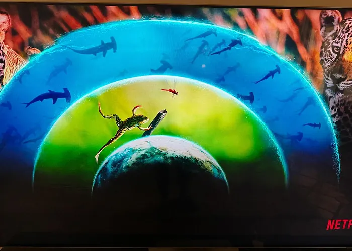 Apartament Beautiful In Vasari Puerto Banus